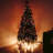 Beegle Outdoor 200 - Bulb 0.2'' LED Rope String Light