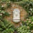 Schaper Lion Hanging Wall Fountain-1398970871