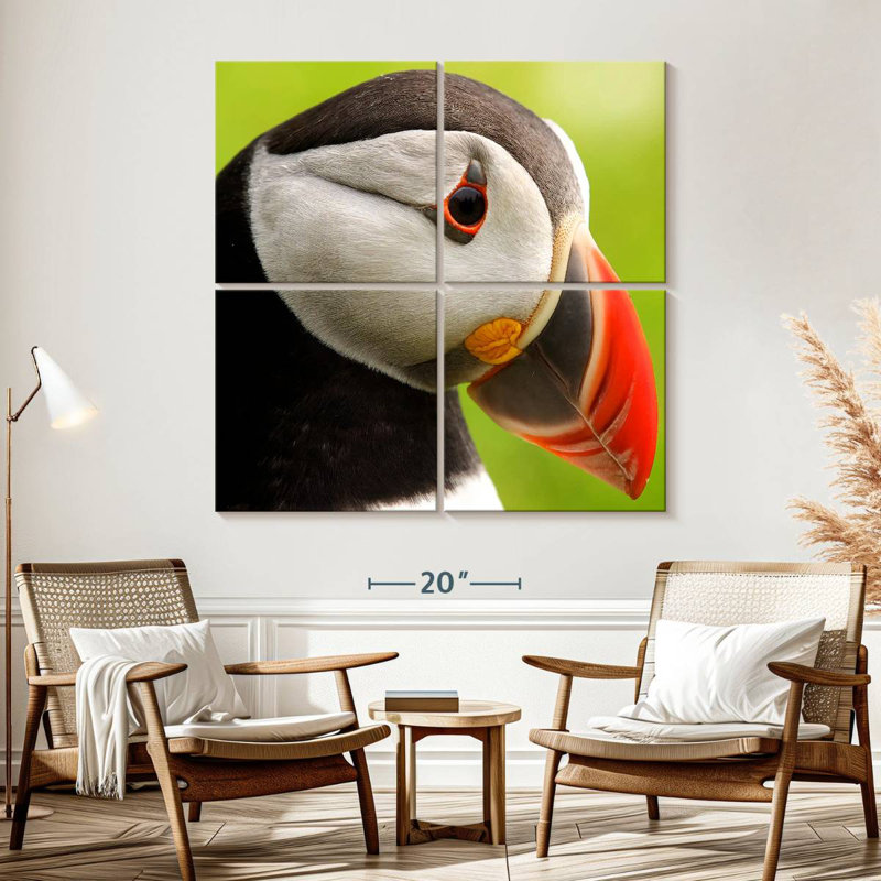 Brampt Wild Puffin, 57'' H x 57'' W