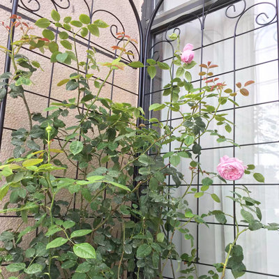 Ensemble de 4 treillis en métal 86,7 po x 19,7 po - Support de plantes de jardin antirouille, noir, facile à assembler, tube de fer, pour vignes de lierre, rose, gloire du matin, jasmin, vigne de filet noir, à installer, matériau,