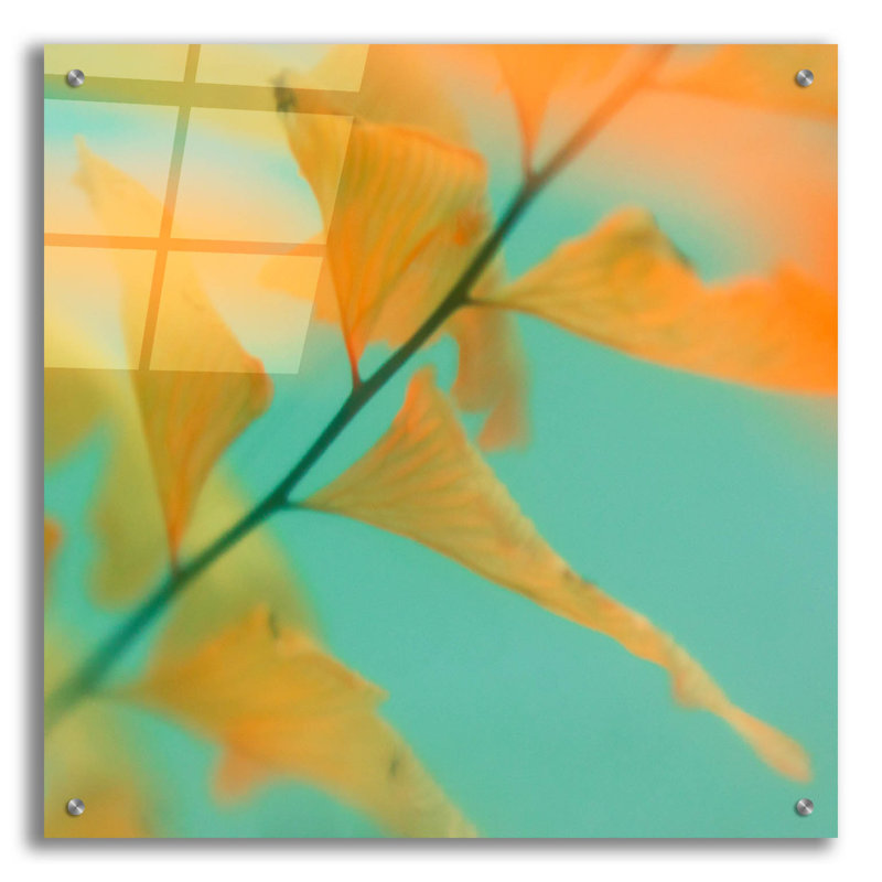 «Fern Dance 2» par Judy Stalus, H 24 po x l 24 po