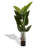 Elegant Faux Palm Trees