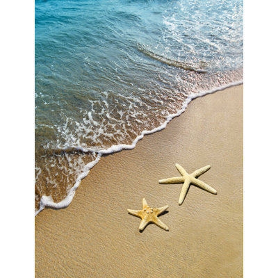 " Double Starfish "