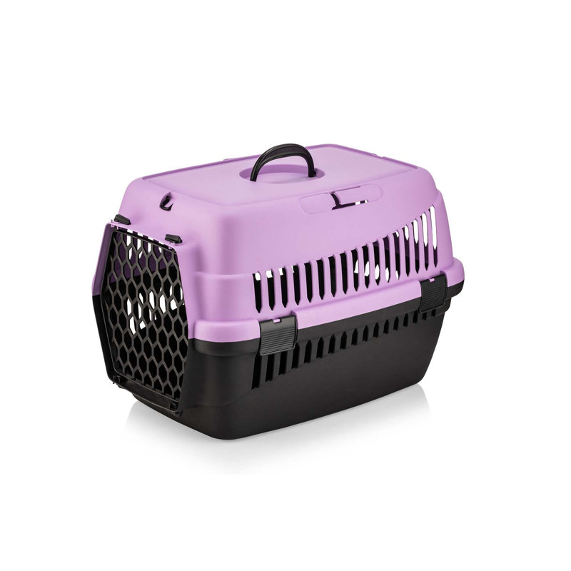 Boîte de transport pour animaux, H 13,78 po x l 19,29 po x P 13,78 po, Purple