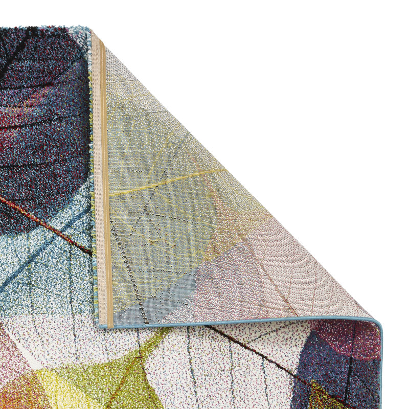 Morrisville area rug Machine Woven Rectangle Multi coloured, Rectangle 80 x 150cm