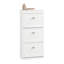 Moriah 12 Pair Shoe Storage Cabinet-881178386