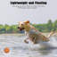 Balle de chien à mâcher pour chiots - Balle de tennis légère et flottante avec texture nettoyante pour les dents, idéale pour les jeux d'eau