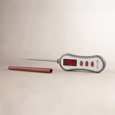 Taylor Digital Thermometer