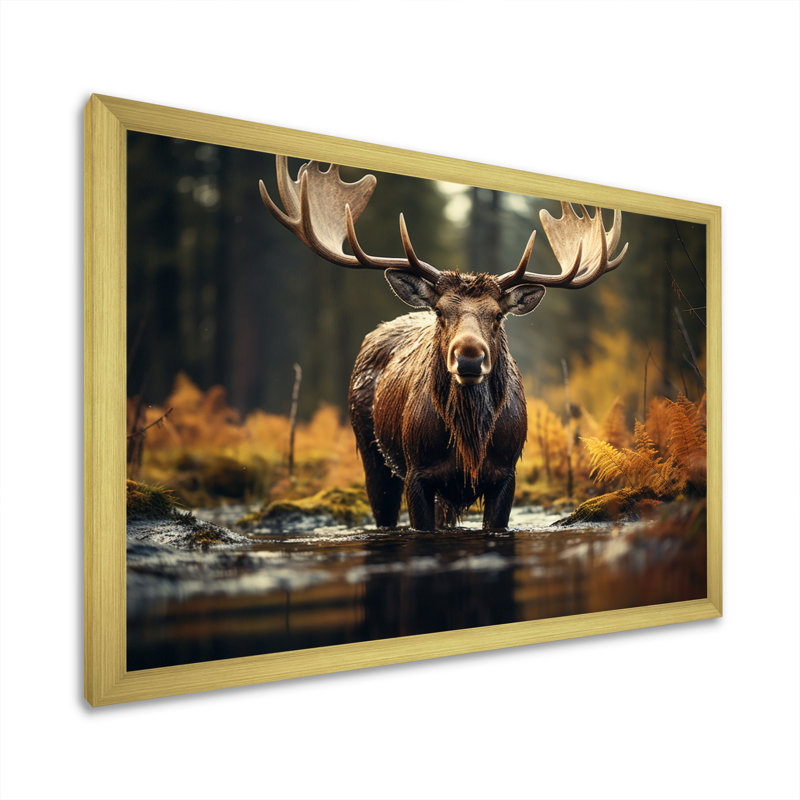 «Canada Majestic Moose III», art mural Canada large, H 30 po x l 40 po x P 1,5 po, Cadre doré simple