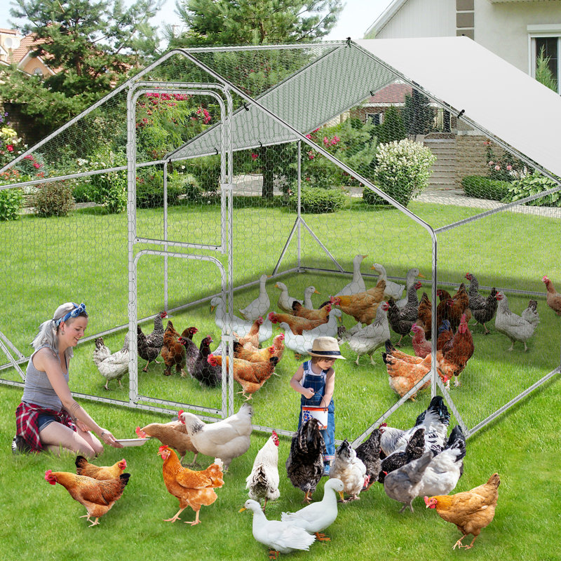 11.95m² Chicken Run, 201.17cm H x 298.7cm W x 399.29cm D