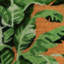 Ackley Non-Slip Floral Doormat