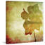 Parvez Taj - Wrapped Canvas Print-12844541
