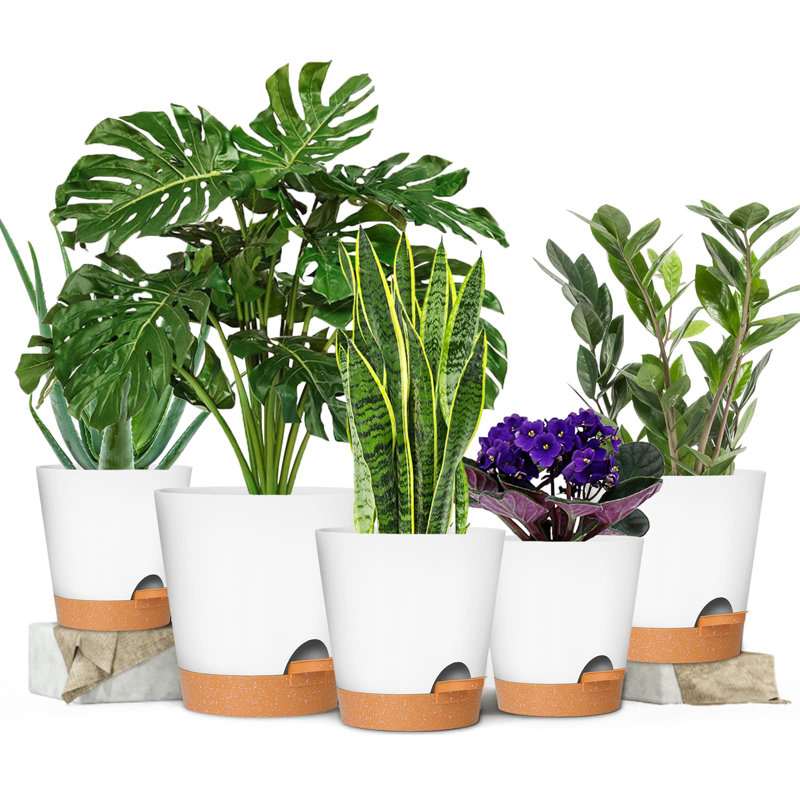 Plant Pots with Drainage Hole, White