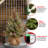 2ft. Dunhill Fir Tree with LED Lights