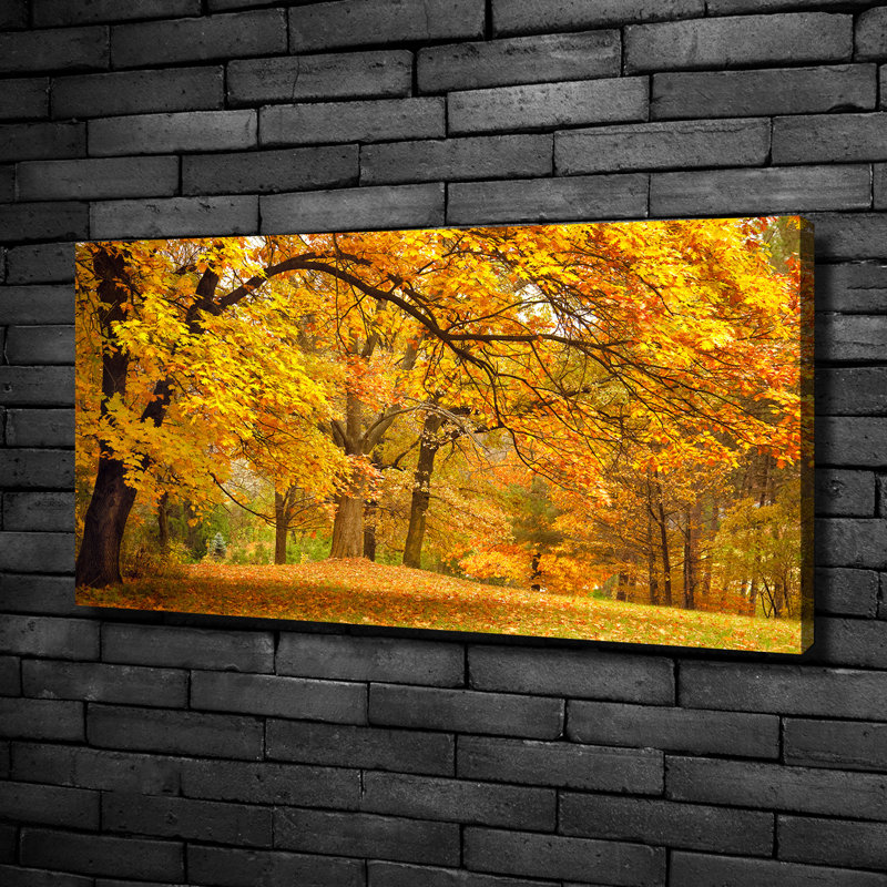 Autumn In The Park - Print, Canvas, 50cm H x 100cm W x 2cm D