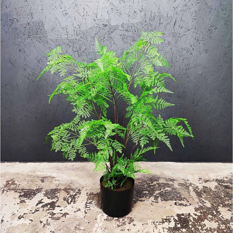 Artificial Fern tree Faux Fern tree, 35" H x 23" W x 23" D