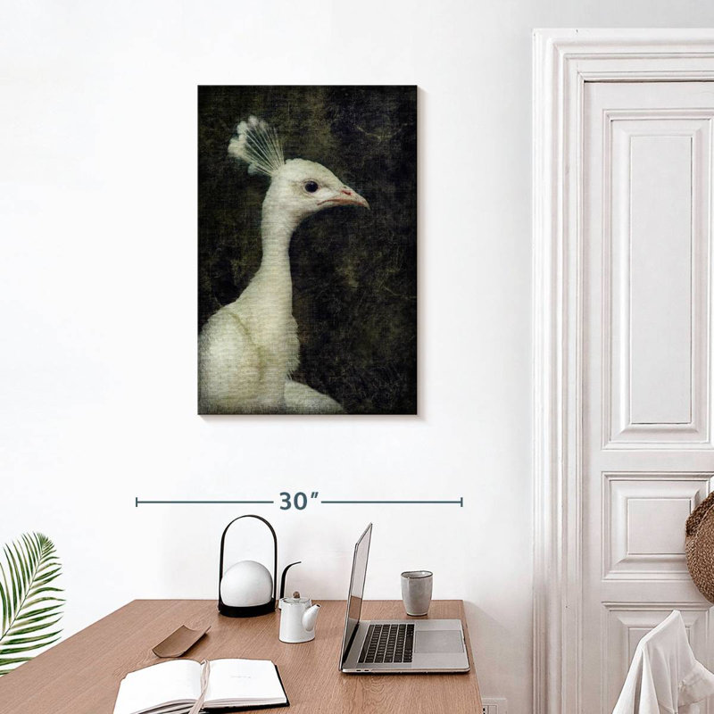 Brampt White Peacock, 30" H x 20" W