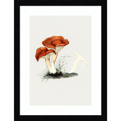 Reproduction imprimée à la main d'un champignon Milkcap