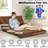 Fabricio Twin 48'' Upholstered Futon And Mattress-1107778560