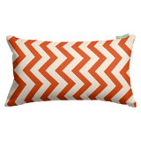 Chevron Indoor/Outdoor Reversible Throw Pillow