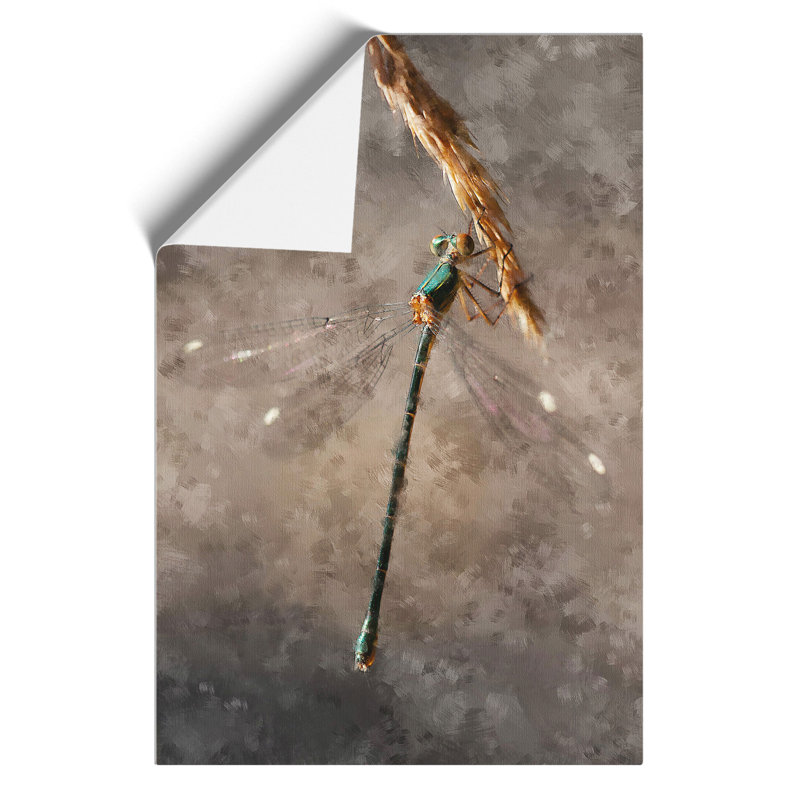 Dragonfly Vol.4 - Unframed Graphic Art, 42cm H x 30cm W x 0.1cm D