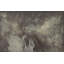 Penumbra Abstract Terralon Wallpaper Roll by Matera-856112541