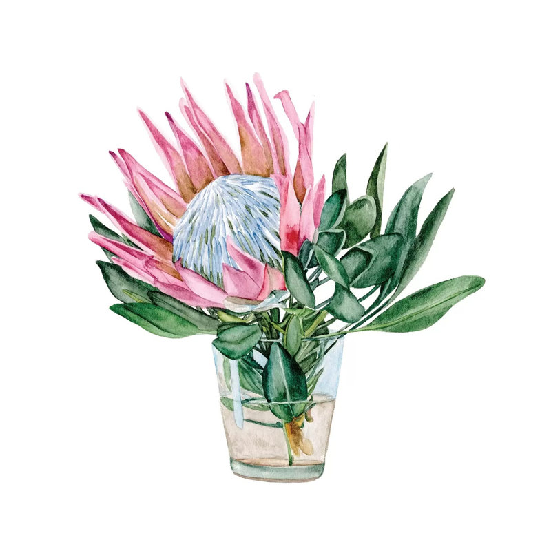 Awaken Protea II - Wrapped Canvas Print, 93.98 cm H x 93.98 cm W x 1.91 cm D