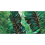 «Exotic Leaves», reproduction encadrée avec passe-partout | Décoration intérieure unique