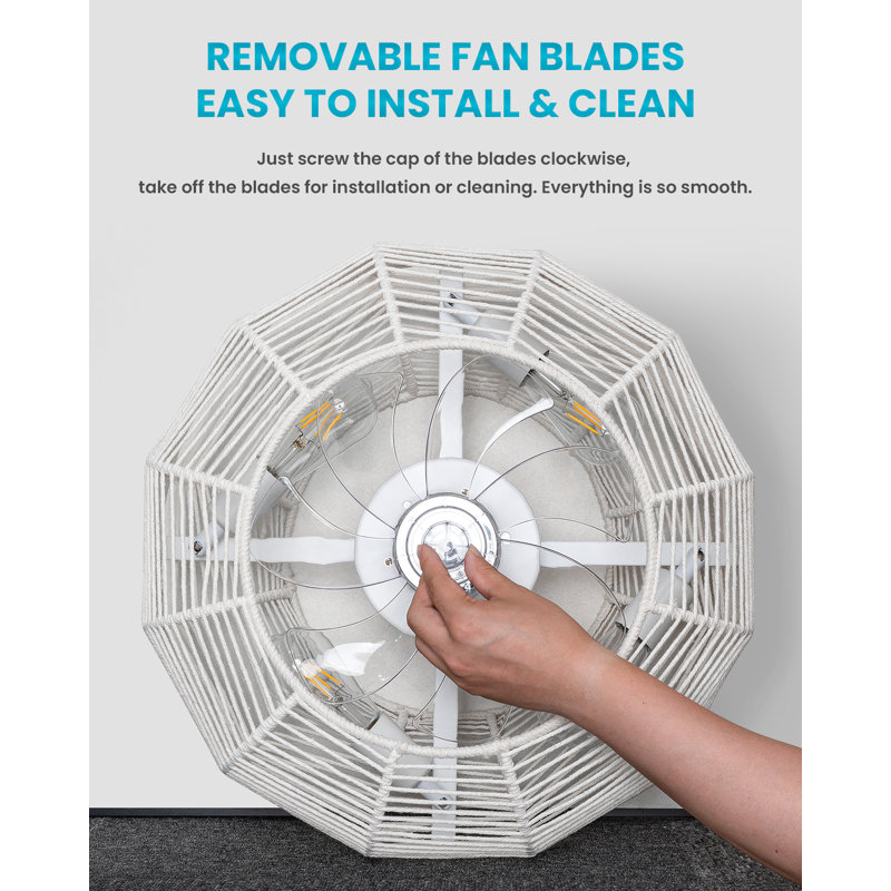 Ceiling Fan