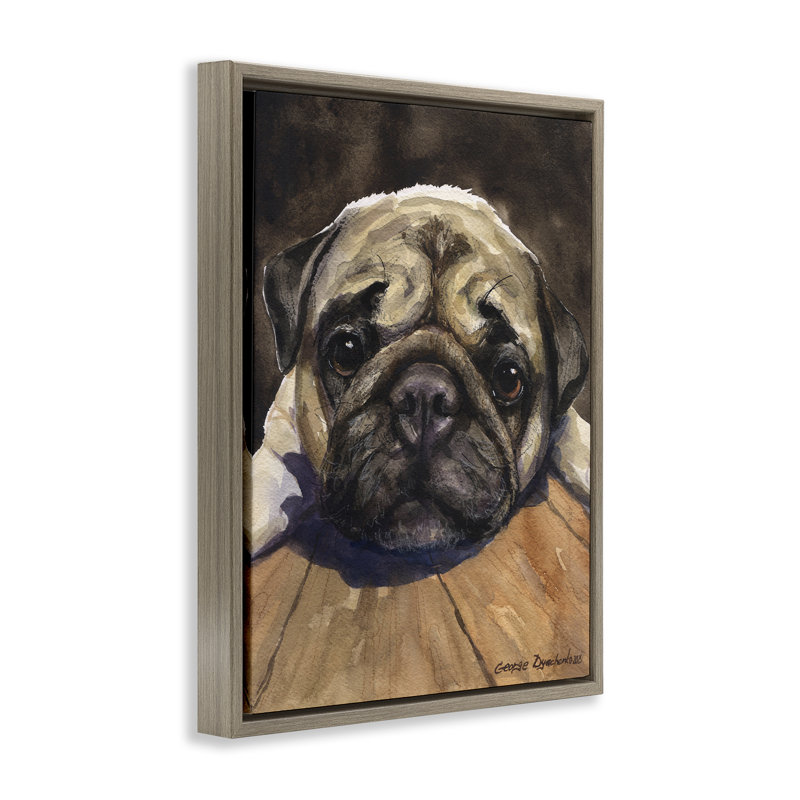 Cadre flottant Pug Soulful Portrait, conception de George Dyachenko, H 31 po x l 25 po, Montalcino orme flottant encadré