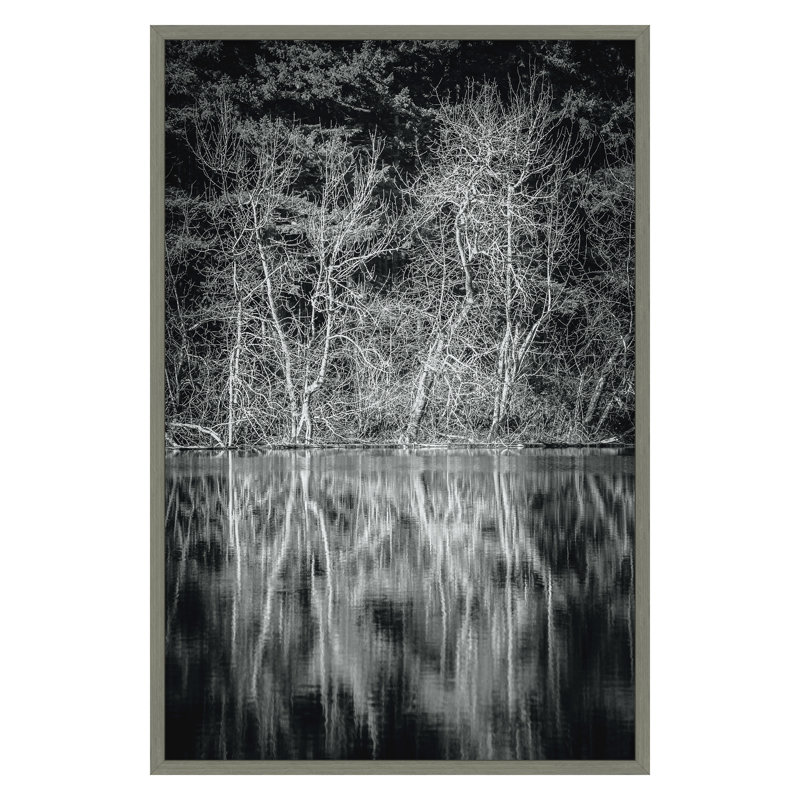 «Lowland Winter Forest No 15, Tiger Mountain» par Bisig, Steve, H 30 po x l 20 po