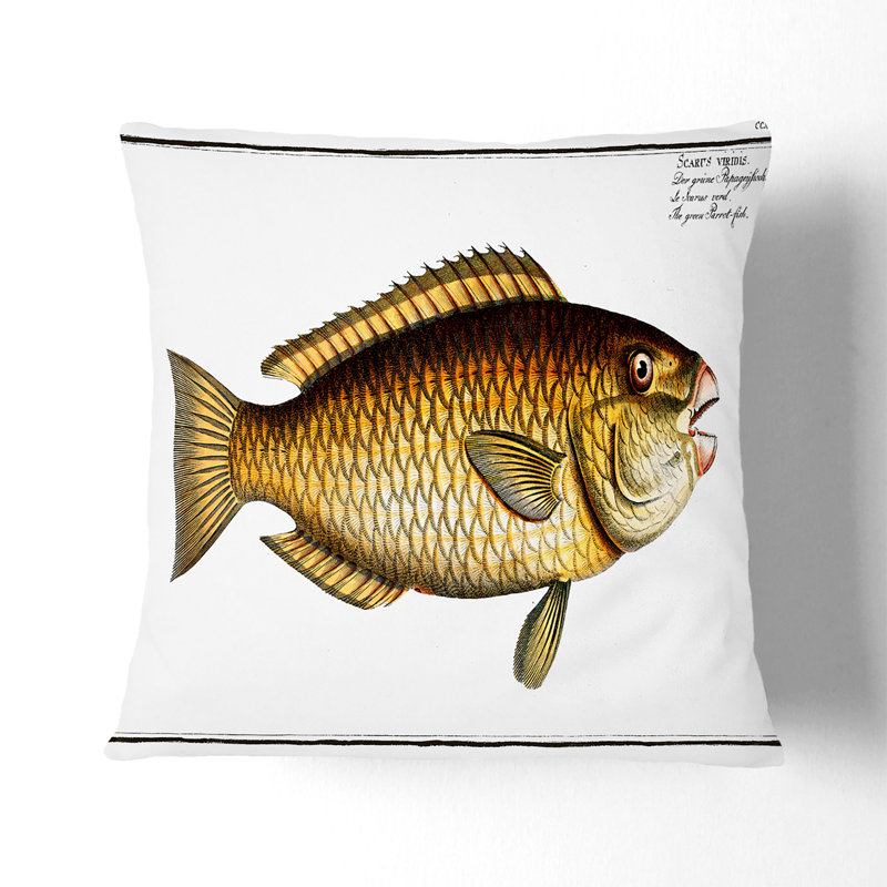 Parrot-Fish by M.E. Bloch Cushion with Filling, Black, 55cm H x 55cm W x 20cm D