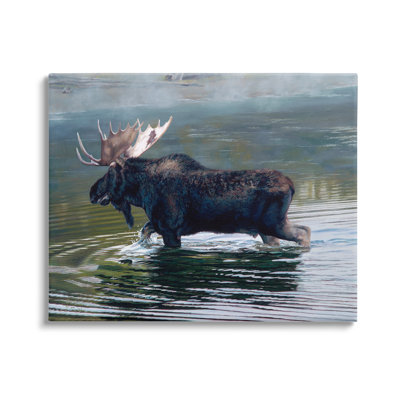 Au-906-Canvas " Moose Lake Ripples Splashing " by David Graham Painting Print