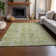 Premium Machine Washable Cerrito AMF570 Aloe Rug
