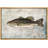 Fish " Largemouth Bass Fish On Granite Background Marine Life "-99543824-99543823
