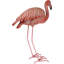 Statue de flamant rose Henleaze debout dans un dépôt