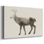 Toile tendue The Wilderness IV-Gallery-661433846
