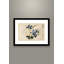 Blooming Hydrangeas by Yun Shouping- Single Picture Frame Print-355533062