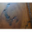 Plancher de bois franc d'ingénierie Hickory-88946410