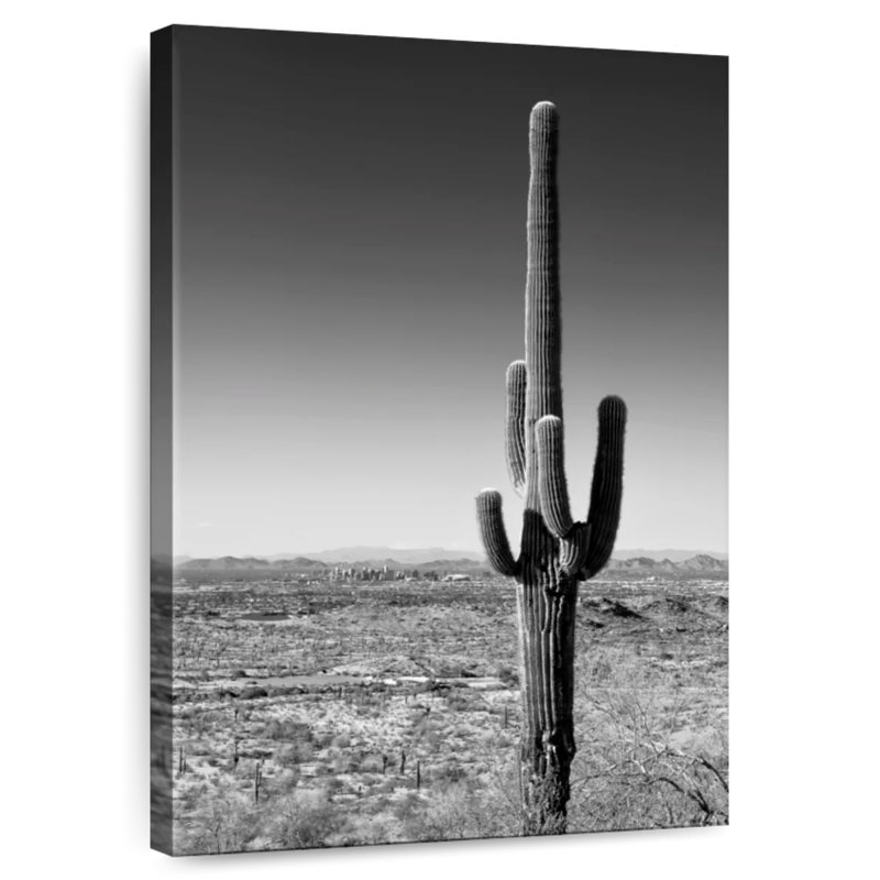 Harnek One Cactus, 39" H x 26" W
