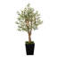 Olive artificielle en pot-815665003