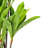 60" Artificial Real Touch Dracaena.