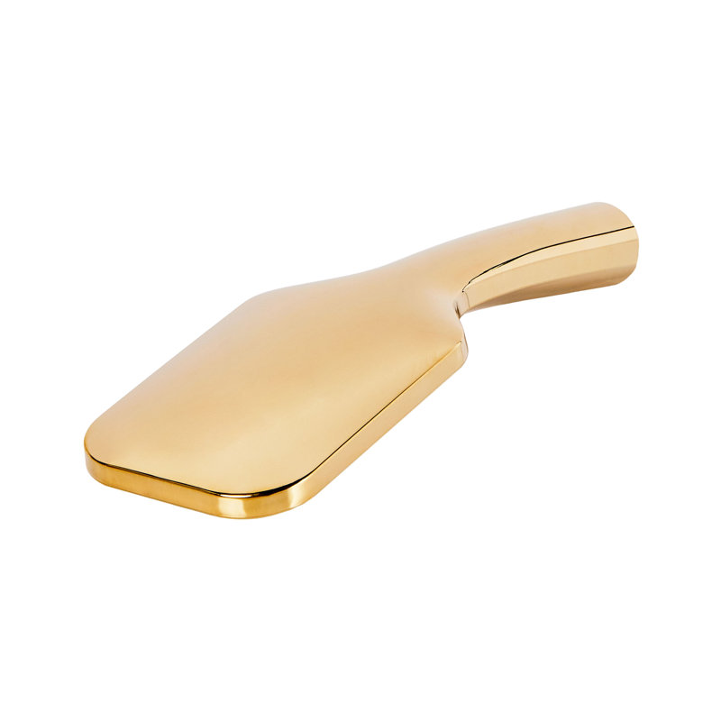 Shower Head and Hose Kit AMAJA, Gold