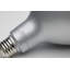 19 Watt Silver Bulb