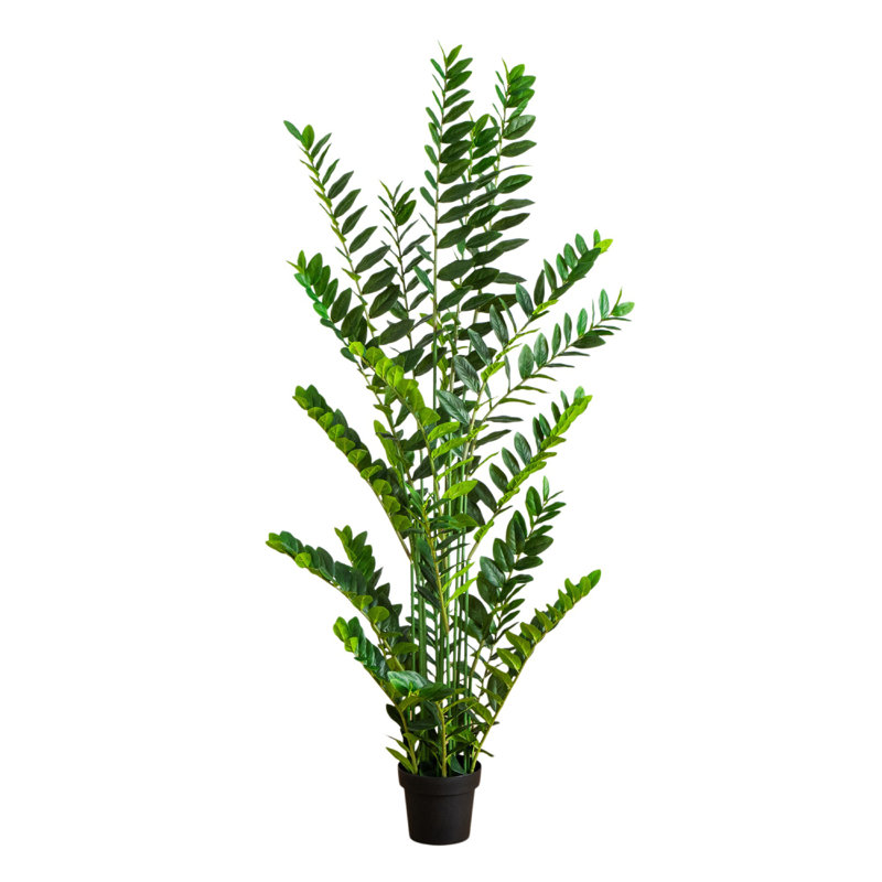 Zamioculcas artificiel, H 72 po x l 16 po x P 16 po