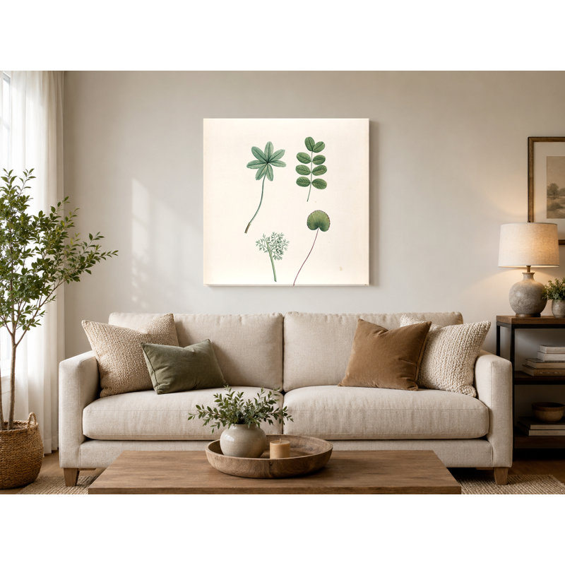 «Botanical Study of Ranunculus Leaves», reproduction d'art sur toile, H 16 po x l 16 po
