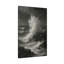 Apel Single Picture Frame Print on Canvas-887395910