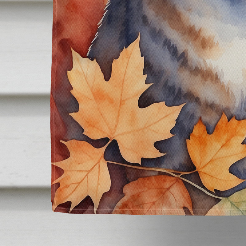 Chat en feuilles d'automne, Raas