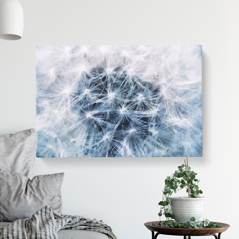 Dandelion Seeds Vol.12 - Wrapped Canvas Print, 50cm H x 76cm W x 3cm D