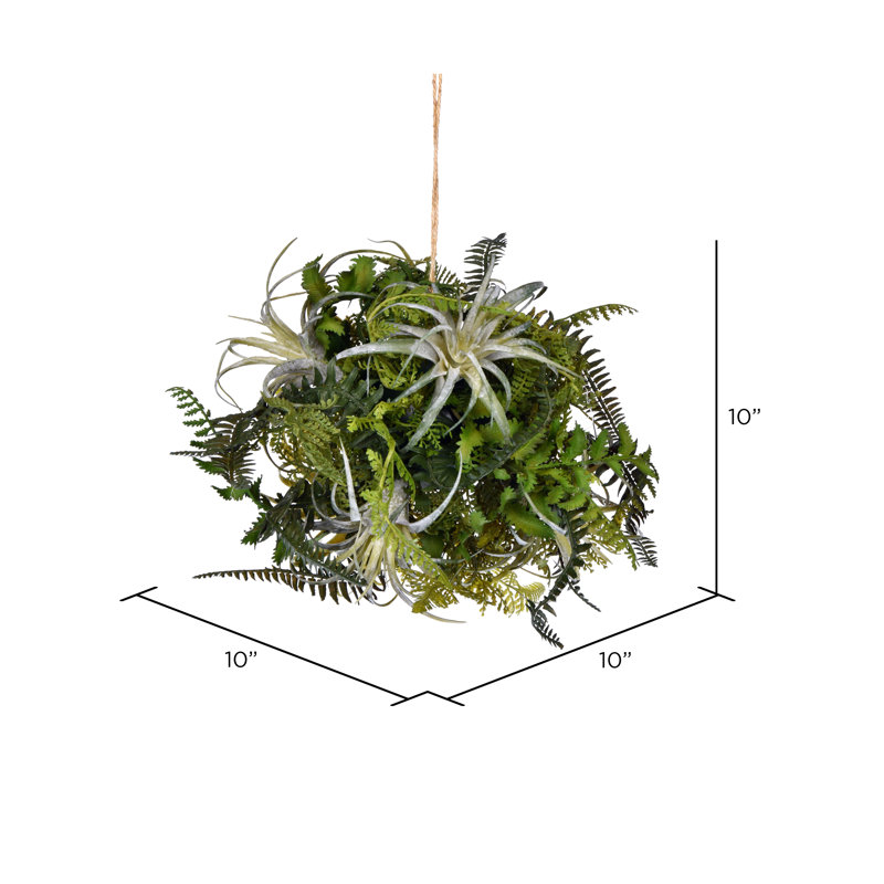 Fern Arrangement